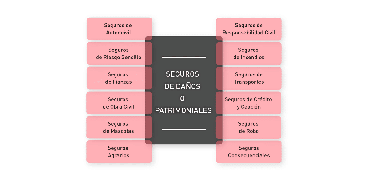 Dentro de esta categoría se encuentran los seguros que tienen como finalidad principal reparar la pérdida que un asegurado puede sufrir en su patrimonio como consecuencia de un siniestro