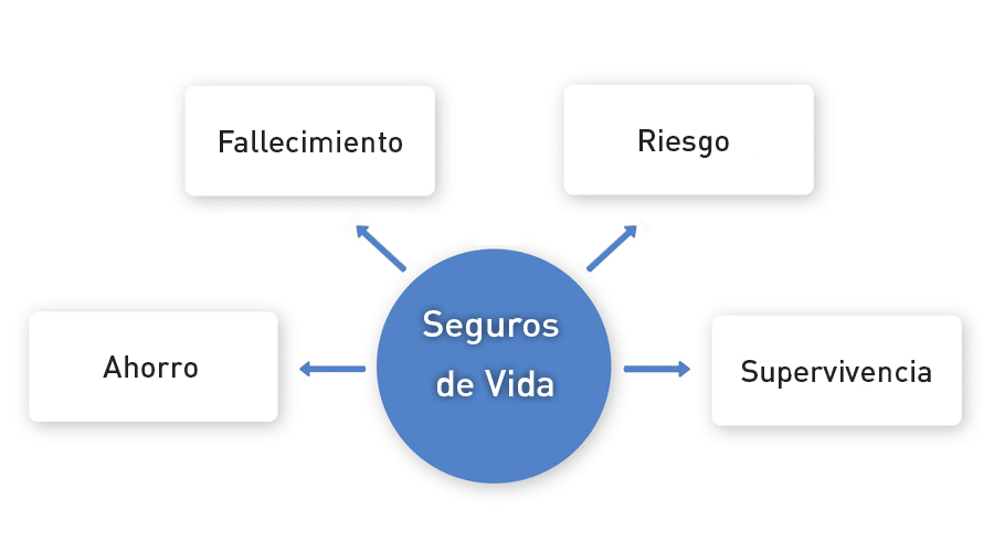 Tipos de seguros de vida Gráfico con los tipos de seguro de vida