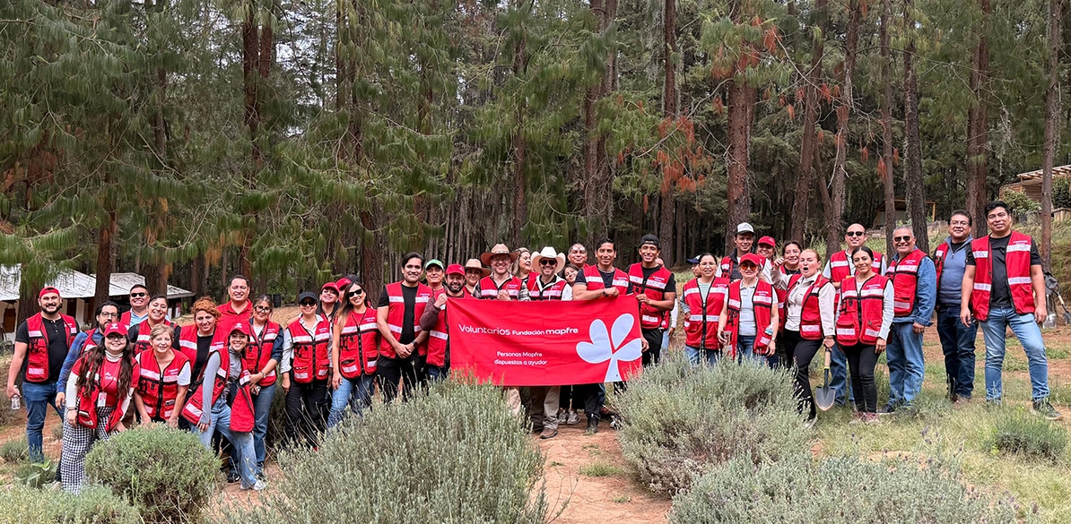 Grupo de voluntarios durante una jornada de reforestación en un bosque de México